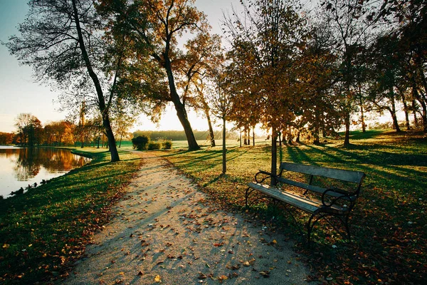 Caminho outono parque pôr do sol — Fotografia de Stock