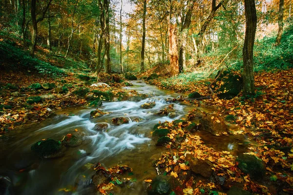 Podzimní potok — Stock fotografie
