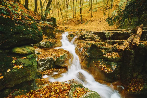 Herbstströmung — Stockfoto