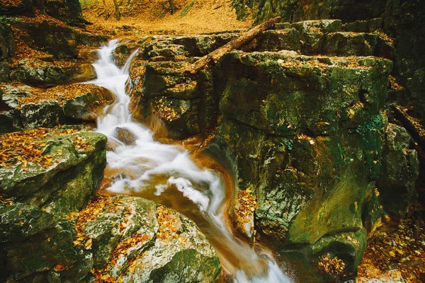 Autumn flowing stream — Stock Photo, Image