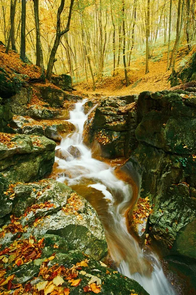 Flusso che scorre in autunno — Foto Stock