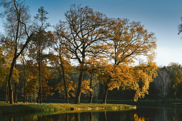Lago d'autunno in parco — Foto Stock