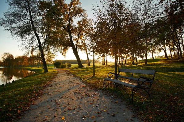 Camino otoño parque puesta de sol —  Fotos de Stock