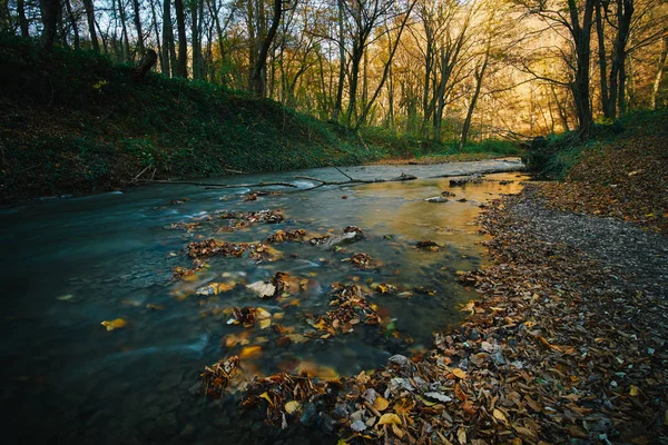 Autumn flowing stream — Stock Photo, Image