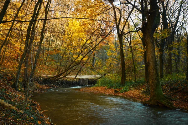 Herfst vloeiende stroom — Stockfoto