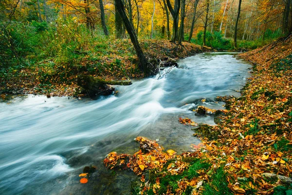 Herbstströmung — Stockfoto