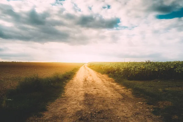 Country Road alba — Foto Stock