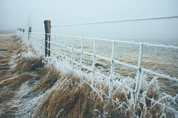 Grasland rijm winters tafereel — Stockfoto