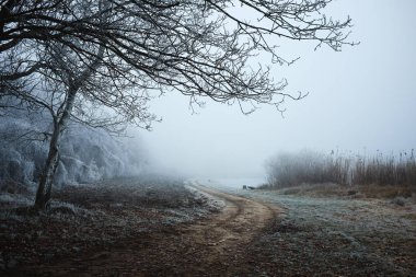 Parktaki kış yolu.