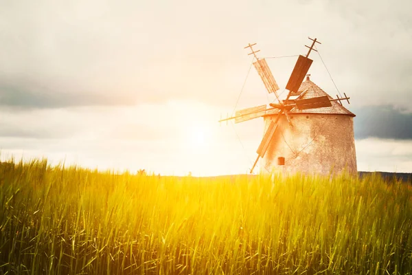 Alte holländische Windmühle — Stockfoto