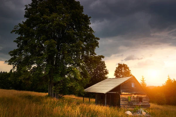 Verlaten hut op het veld — Stockfoto