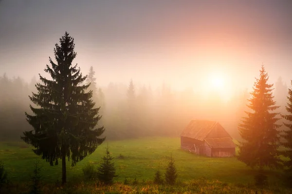 Ancienne ferme sur le champ transylvanien — Photo