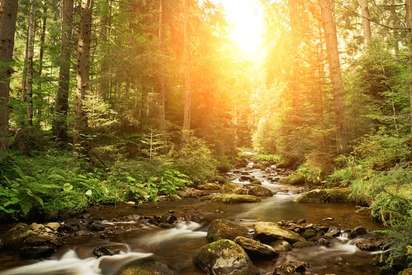 Gebirgsbach mit fließendem Bach — Stockfoto