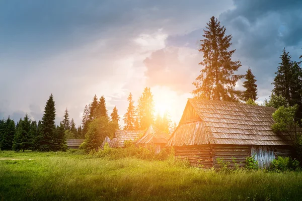 Altes Blockhaus im Wald — Stockfoto