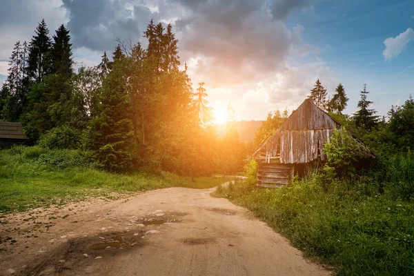Velha cabana de madeira na floresta perto da estrada — Fotografia de Stock