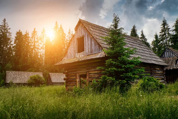 Antigua cabaña de madera en el bosque —  Fotos de Stock