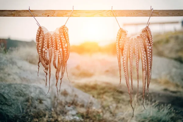 Octopus pendurado para secar na Grécia — Fotografia de Stock