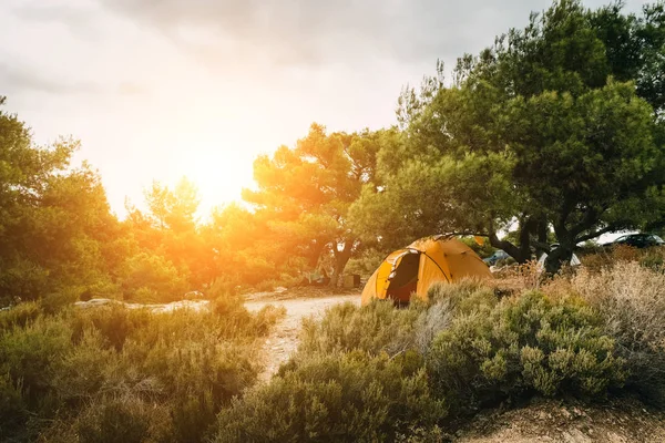 Camping in the wilderness