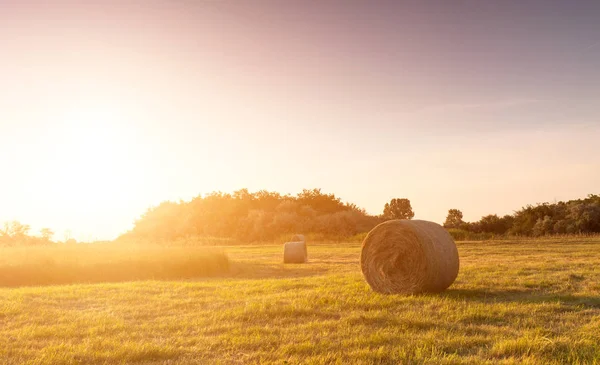 Balen op ochtend veld — Stockfoto