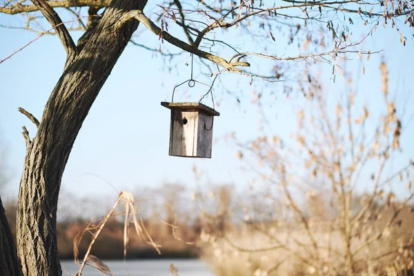 Alimentador de pássaros na árvore — Fotografia de Stock