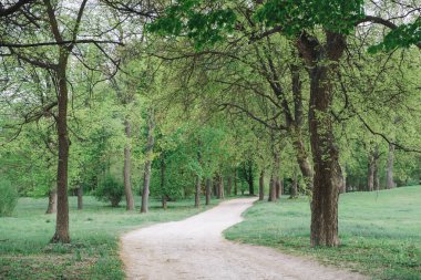 toprak yola park