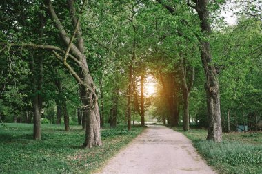 toprak yola park