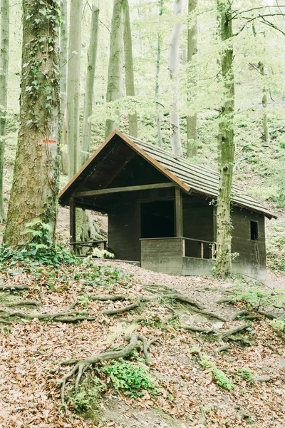 Alte Hütte im Wald — Stockfoto
