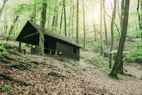 Old cabin in the forest