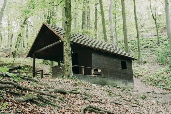Cabaña vieja en el bosque — Foto de Stock