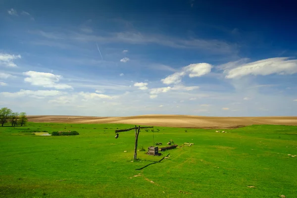 Shadoof mera manzara — Stok fotoğraf