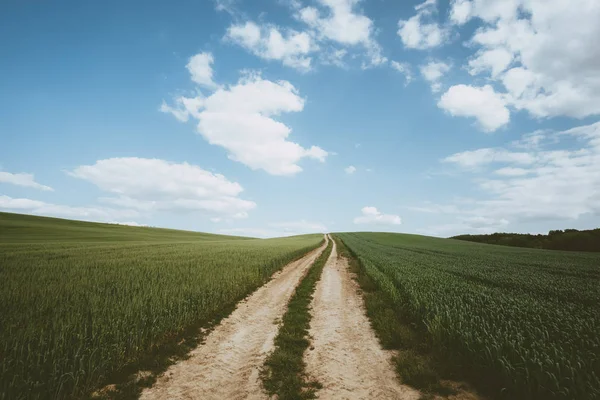 Estrada de terra através do campo de trigo — Fotografia de Stock