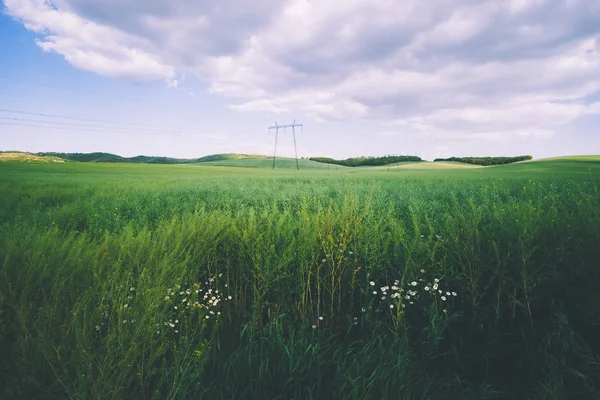 Pylonen op het veld in de voorgrond madeliefjebloemen — Stockfoto