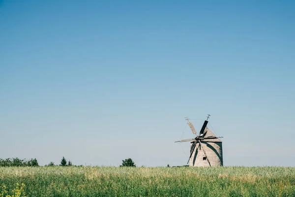 Alte holländische Windmühle auf Feld — Stockfoto