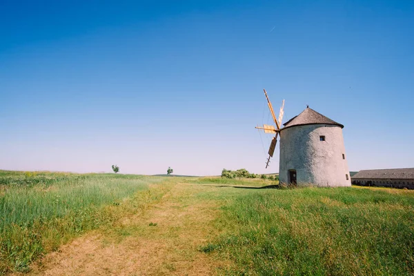 Alte holländische Windmühle auf Feld — Stockfoto