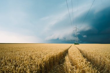 Buğday alan üzerinde fırtına