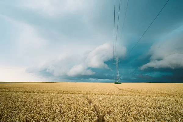Furtună peste câmpul de grâu — Fotografie, imagine de stoc