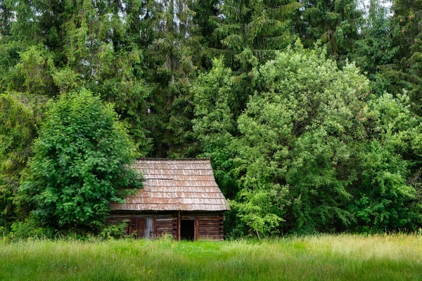 森の中の木造キャビン — ストック写真