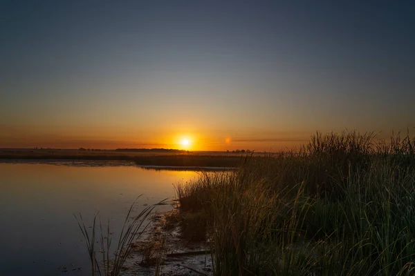 Moorland Bij Zonsopgang — Stockfoto