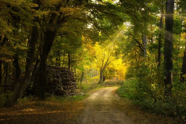 Dřevěný Komín Podzimním Lese Blízkosti Prašné Cesty — Stock fotografie