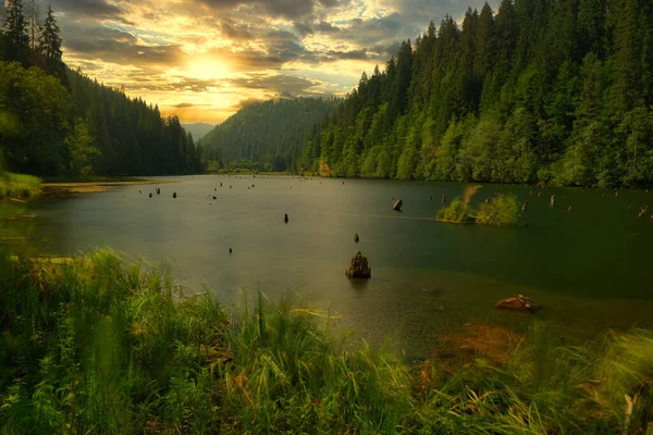 Lago Rosso Lacul Rosu Transilvania Romania — Foto Stock