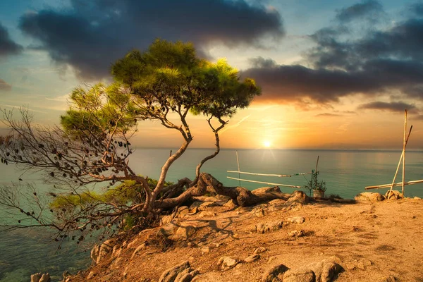 Paesaggio Tropicale Costiero Grecia Calcidica — Foto Stock