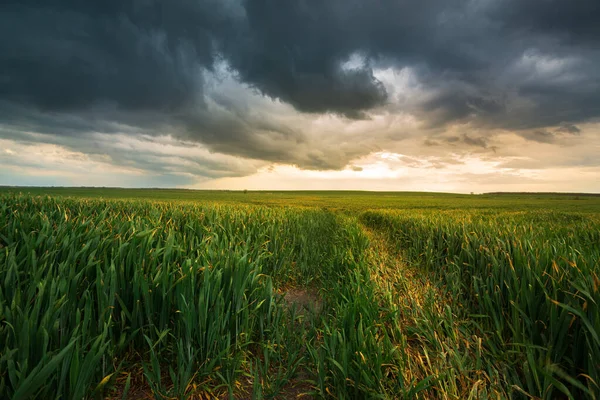 Nubes Tormenta Cielo Oscuro Dramático Sobre Paisaje Del Campo Rural —  Fotos de Stock