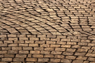 Kuru kare karolar bir fan tasarımı içinde düzenlenmiş