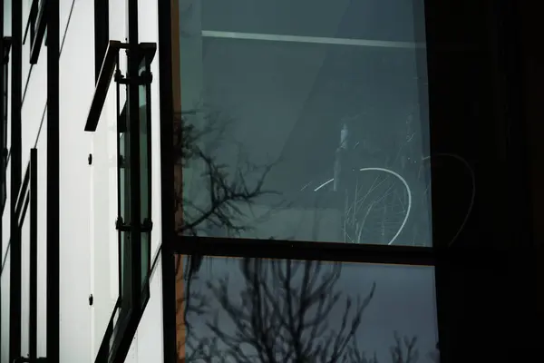 Окно с отражением пустых ветвей деревьев и двух велосипедов — стоковое фото