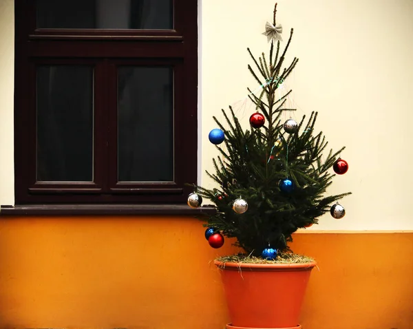 Malý zdobený vánoční stromek v květináči před světlou stěnou budovy — Stock fotografie