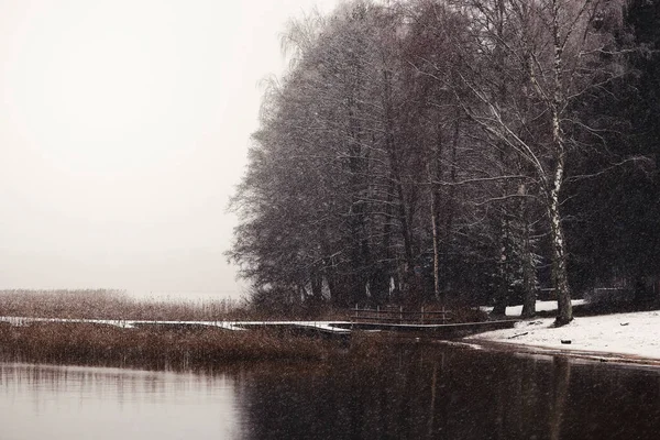 Paesaggio lacustre invernale con foresta di betulle lungo la riva — Foto Stock
