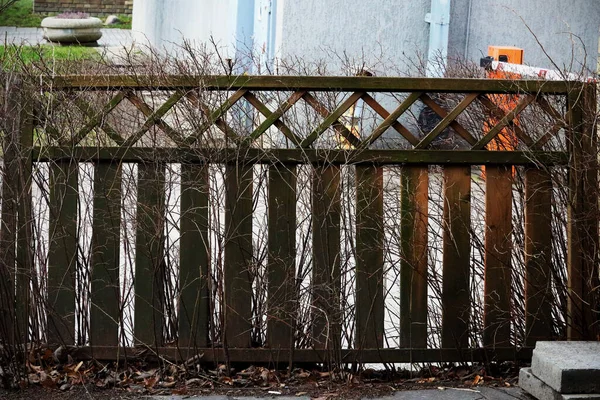 Wooden decorative fence outdoors behind of naked bushes — 스톡 사진