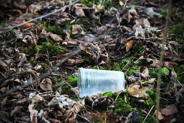 Пластиковая Чашка Оставленная Парке Лежит Земле Сухими Листьями — стоковое фото