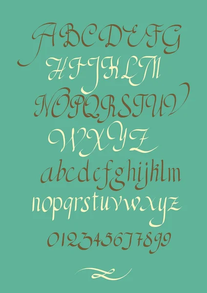 Calligraphic script fuente — Archivo Imágenes Vectoriales