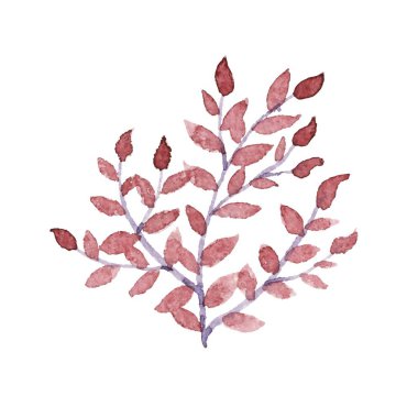 Suluboya çiçek vektör set.